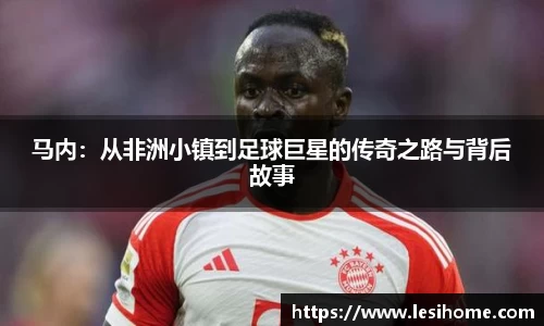 NG体育官网